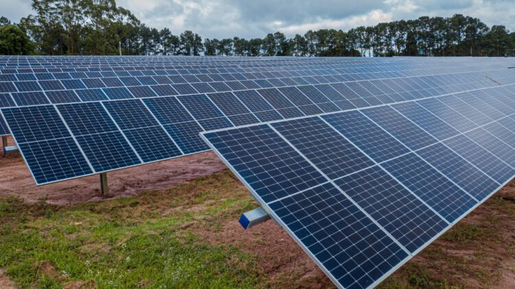 In partnership with EDP we opened three solar plants in São Paulo and Minas Gerais