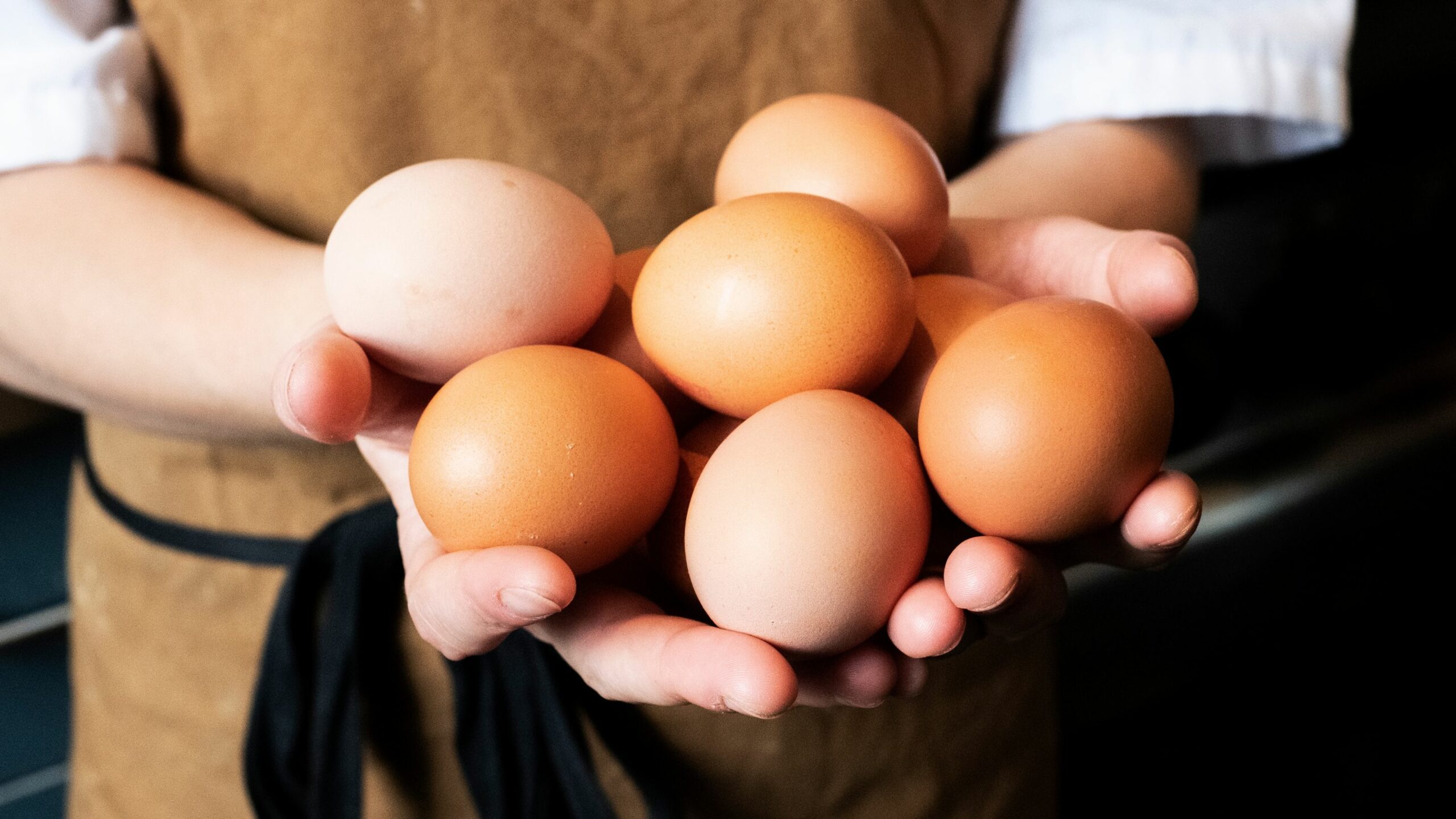 We continue to strengthen our commitment to acquire Cage-Free eggs