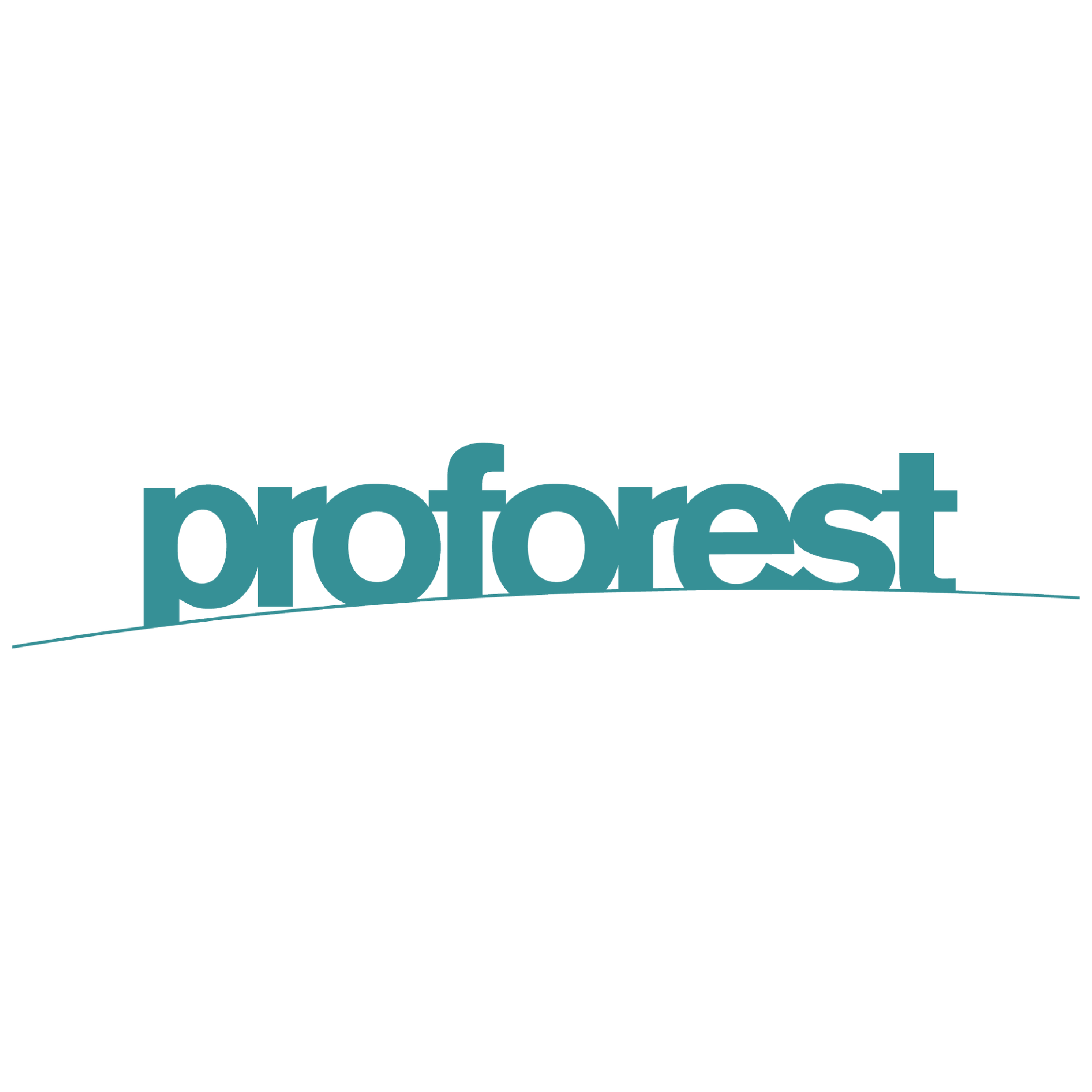 PROFOREST-01.png