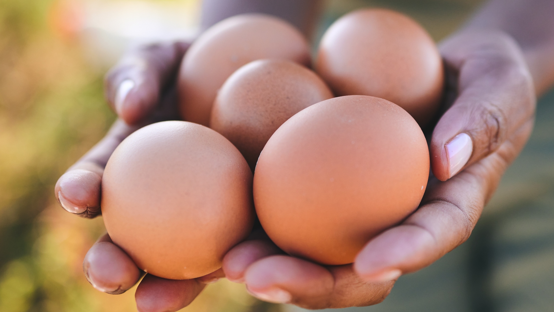 Toward a More Sustainable and Animal-Welfare-Oriented Supply Chain